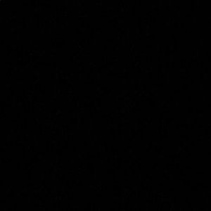 Meet your Posher, Sofia